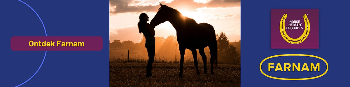 Persoon, Dier, Colt Horse, Paard, Zoogdier